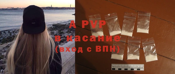 прущие грибы Богородск
