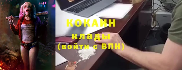 прущие грибы Богородск