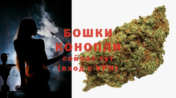 прущие грибы Богородск