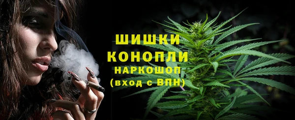 прущие грибы Богородск