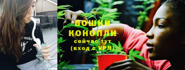 прущие грибы Богородск