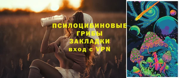прущие крисы Богородицк